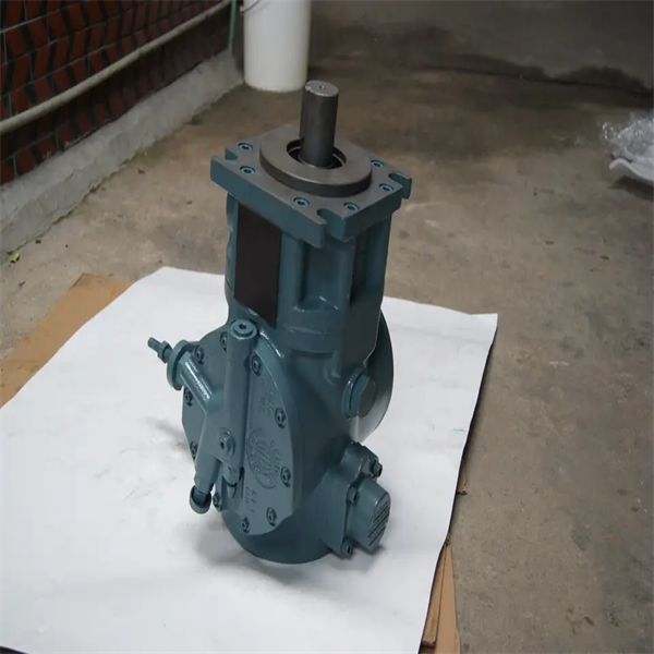 Vane Pump DENISON P6W-2R1B-C00-00 Hydraulic Oil Pump Plunger Pump